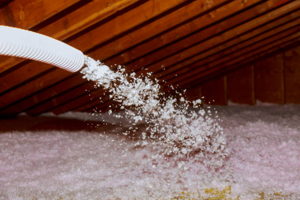 Best Eco-Friendly Insulation in Bicknell, IN