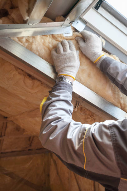 Best Geographic-Specific Insulation Services in Bicknell, IN