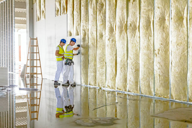 Best Insulation Maintenance and Repair in Bicknell, IN